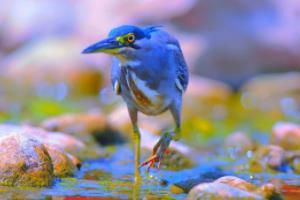 2021德甲赛季,冠军争夺战白热化,强队实力与战术革新2021赛季德甲联赛