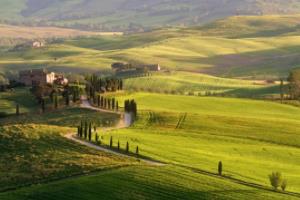 德甲联赛历史排名,从冠军球队到足球文化的变迁德甲联赛历史排名